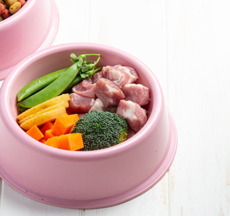 Alimentação Natural para Gatos
